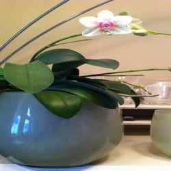 Blumenhaus Mol