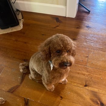 Pet-Agree Professional Pet Services - Pet Groomers Near Me - Jasper, Indiana Pet-Agree Professional Pet Services - Pet Groomers Near Me - Jasper, Indiana