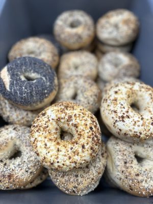 NY Bagel Cafe & Grill (Terrace St-roxborough) by null