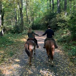 Blowing Rock Trail Rides