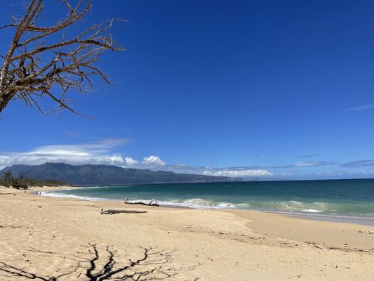 Baldwin Beach Park by null