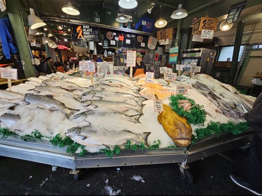 Pike Place Fish Market by null