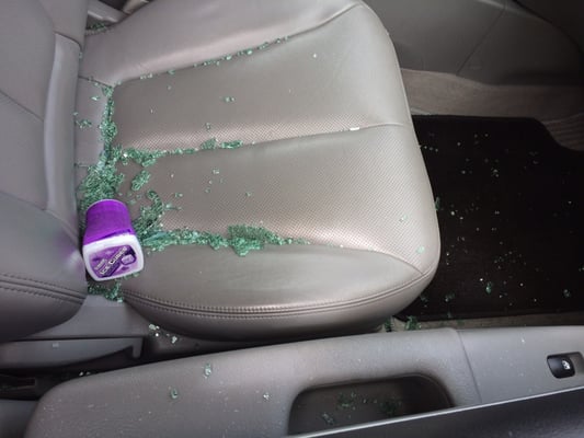 ACTION AUTO GLASS - Updated June 2025 - 11 Photos & 121 Reviews - 2701