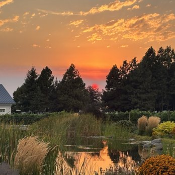 The Kitchen at Abeja - The sunset! - New American Near Me - Walla Walla, Washington The Kitchen at Abeja - The sunset! - New American Near Me - Walla Walla, Washington
