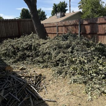 JL Junk Removal - Tree trimmings and branches - Junk Removal & Hauling Near Me JL Junk Removal - Tree trimmings and branches - Junk Removal & Hauling Near Me