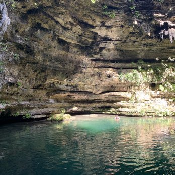 Cenote Saamal - Sunny area - Lakes Near Me - Valladolid, YUC