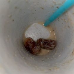 CHIA BANANA BOOST (unblended dates at bottom)