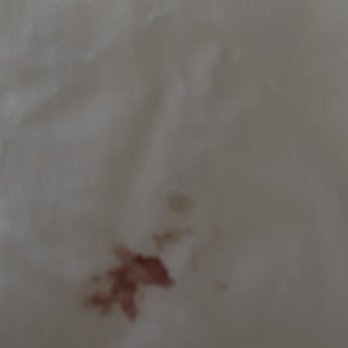 Bahia Resort Hotel - Bloody sheets from last guest . Sheets were not changed after last guest checked out - San Diego, CA