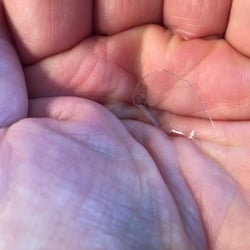 I didn't order a piece of plastic. Can you imagine what could have happened if I had swallowed it?