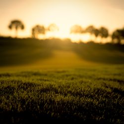Coral Ridge Country Club - The sun never sets on a Robert Trent Jones course