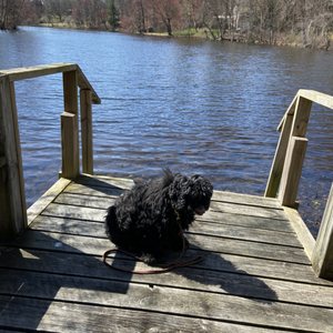 Hair of the Dog on Yelp