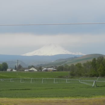 Balch Hotel - View of Mt Hood from our room - Hotels Near Me - Dufur, Oregon