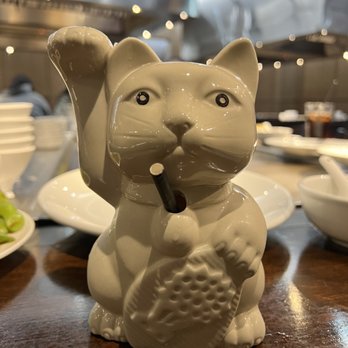 Benihana - Took this kitty home with me! - Teppanyaki Near Me - Arcadia, California