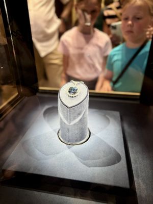 Smithsonian National Museum of Natural History by null