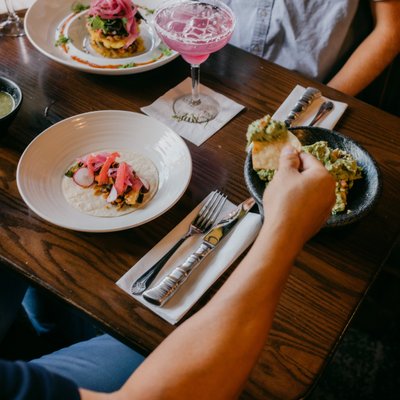 Iguana On Park by null
