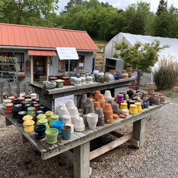 Glen Allen Greenhouse - Gift Shops Near Me - Glen Allen, Virginia Glen Allen Greenhouse - Gift Shops Near Me - Glen Allen, Virginia