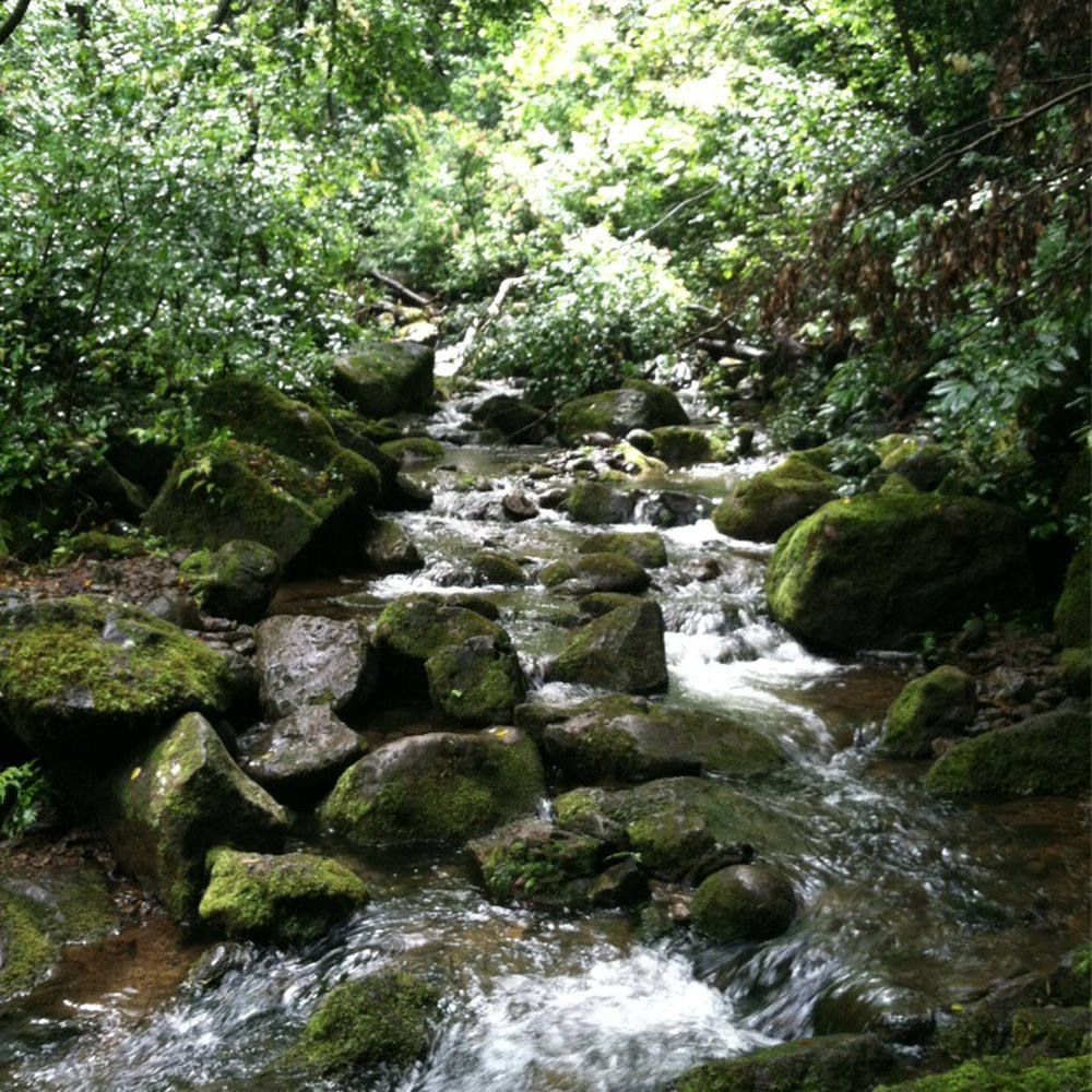 Lulumahu Falls - Hiking Near Me - Honolulu, Hawaii Lulumahu Falls - Hiking Near Me - Honolulu, Hawaii