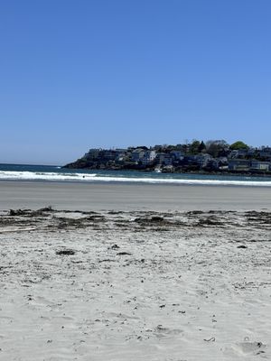 Nahant Beach by null
