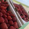 The Strawberry Stand gift card