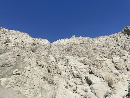 Red Jeep Tours | Desert Adventures by null