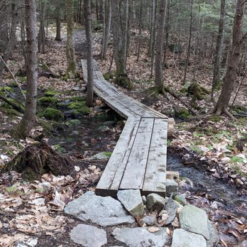 Raymond Community Forest - Hiking Near Me - Raymond, Maine