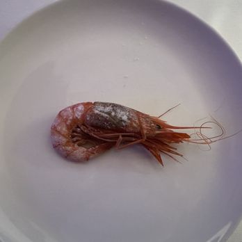 El Camarote de Tomas - Red prawn, if memory serves me. - Seafood Near Me - Barcelona, B