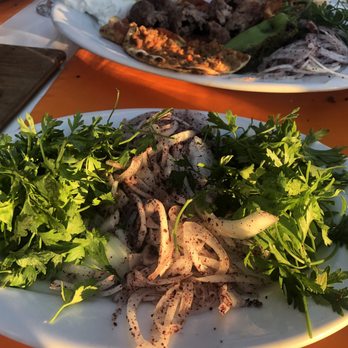 Mavi Park Restaurant - Cafes Near Me - Muğla, 48 Mavi Park Restaurant - Cafes Near Me - Muğla, 48