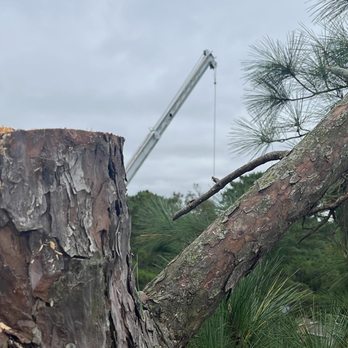 Kens Tree Service - Tree Services Near Me Kens Tree Service - Tree Services Near Me