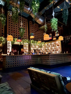 Blackbird Ordinary by null Blackbird Ordinary by null