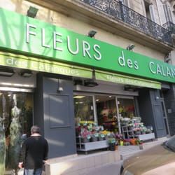 Fleurs des Calanques