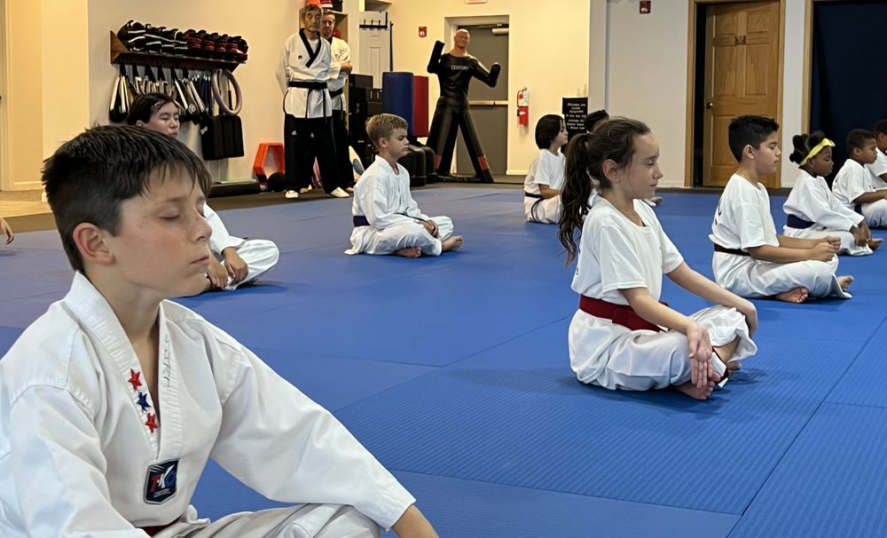 Jin Martial Arts Logo
