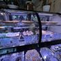 Rock City Cafe
