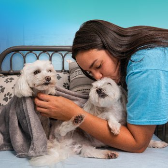 Pet Paradise Plano Custer - Pet Groomers Near Me - Plano, Texas Pet Paradise Plano Custer - Pet Groomers Near Me - Plano, Texas