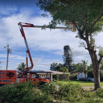 Frank Perkins Tree Experts - Tree Services Near Me - Margate, Florida Frank Perkins Tree Experts - Tree Services Near Me - Margate, Florida