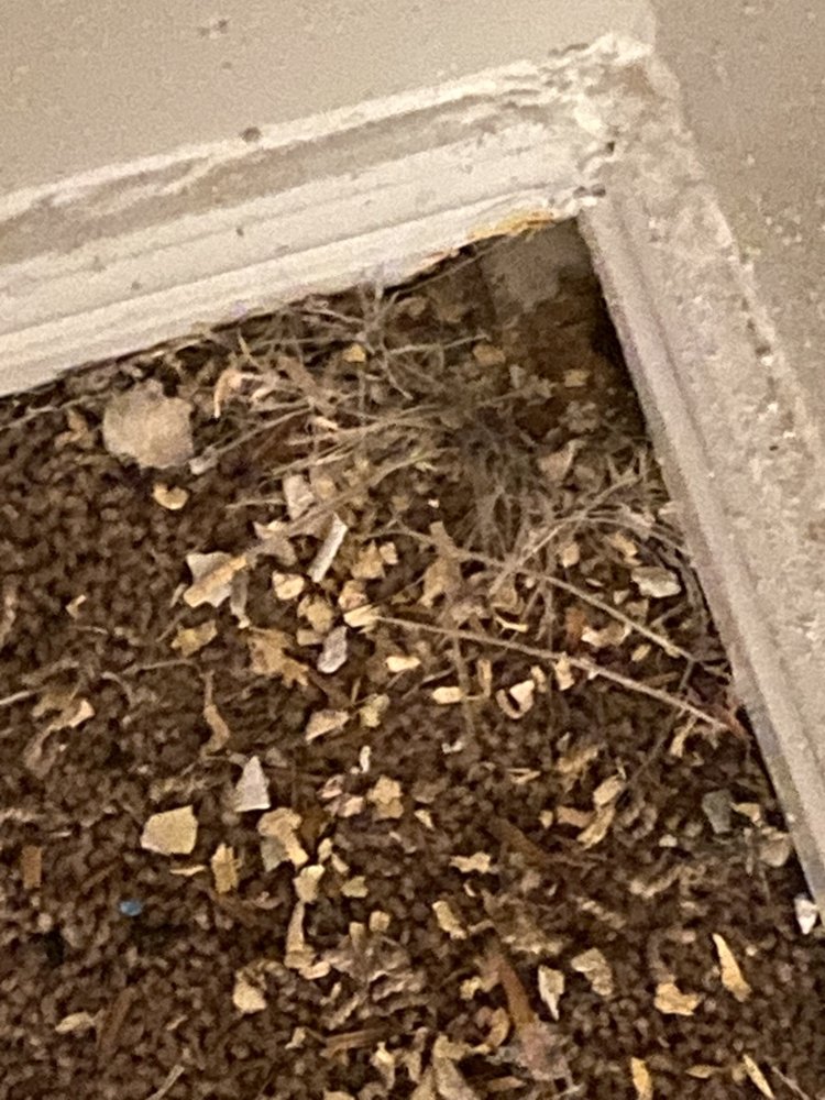 THE TERRACE AT SAM HOUSTON PARKWAY 9475 W Sam Houston Pkwy S, Houston