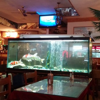 Pho Bac No1 - Pleased to see clean fish tank lol - Vietnamese Near Me - Verdun, Quebec Pho Bac No1 - Pleased to see clean fish tank lol - Vietnamese Near Me - Verdun, Quebec
