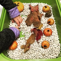 Edina Daycare - Sensory bins are so fun!