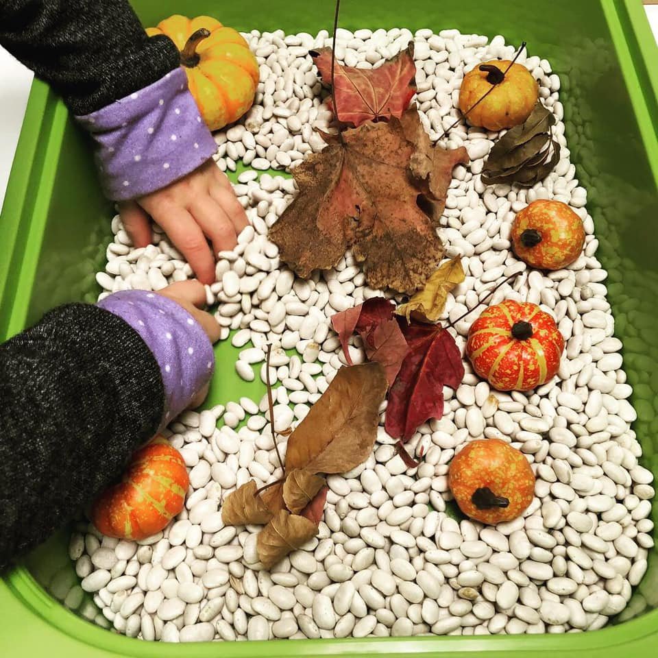 Edina Daycare - childcare center in Minneapolis, MN