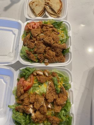 Terry's Burgers by null