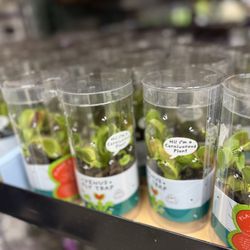BJ's Wholesale Club