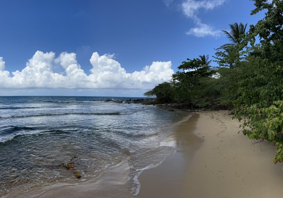 El Gallito ( Gringo Beach ) by null