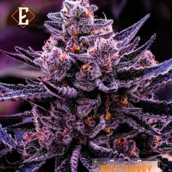 Elevate - Cannabis Clinics Near Me - St. Louis, Missouri Elevate - Cannabis Clinics Near Me - St. Louis, Missouri