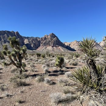 Rubber Duck Trail - Hiking Near Me - Las Vegas, Nevada Rubber Duck Trail - Hiking Near Me - Las Vegas, Nevada