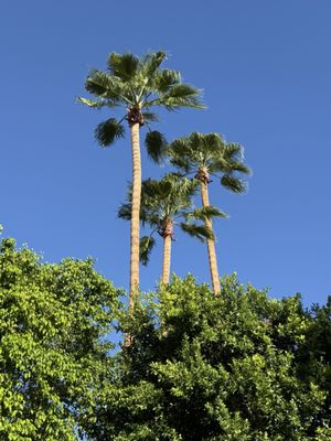 Descanso Resort - A Gay Men's Resort by null