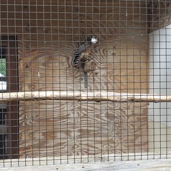 RAPTOR - Community Service/Non-Profit Near Me - Milford, Ohio