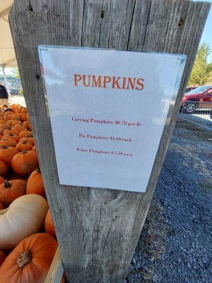 Indian Ladder Farms by null