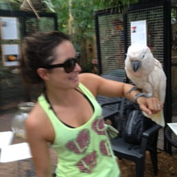 Peaches, the cockatoo.