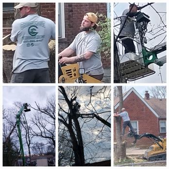 Christian Cut Tree Service - Bad Men! - Tree Services Near Me Christian Cut Tree Service - Bad Men! - Tree Services Near Me