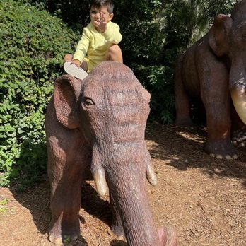 Dinosaur World - Museums Near Me - Plant City, Florida