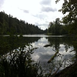 Calm and still